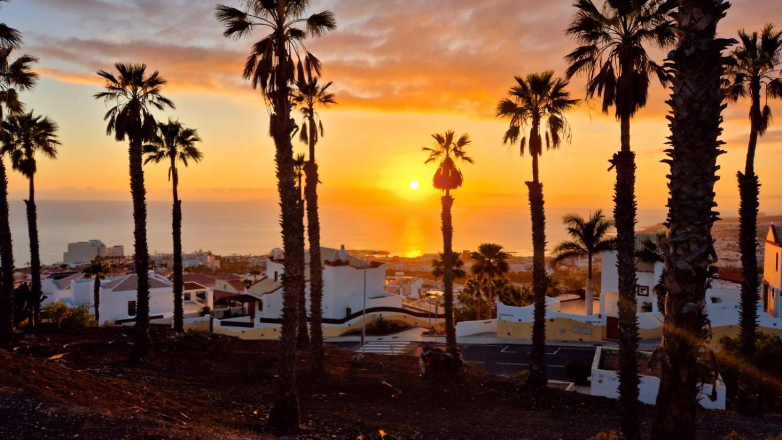 Costa Adeje Bungalow -Tenerife Exteriör bild